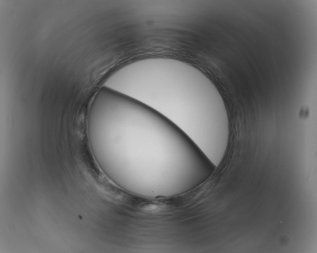 X0000111800364200907231216