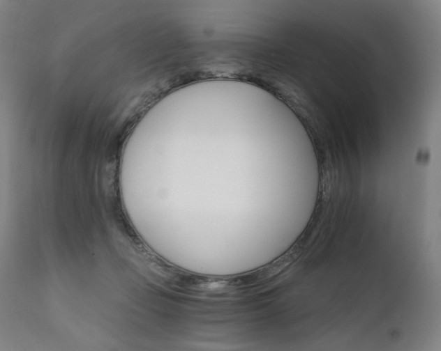 X0000111800365200907231216