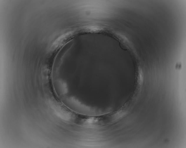 X0000111800366200907231216
