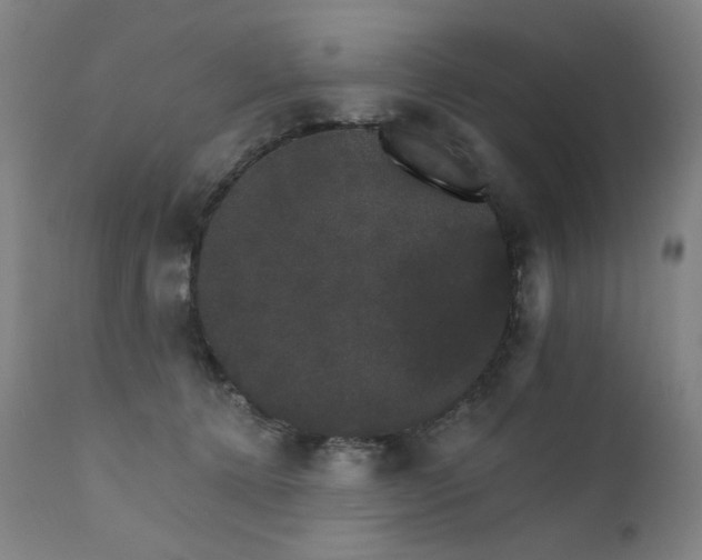 X0000111800368200907231216
