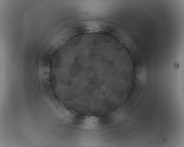 X0000111800369200907231216