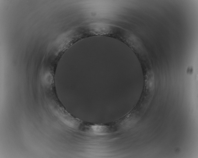 X0000111800371200907231216