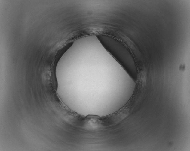 X0000111800372200907231216