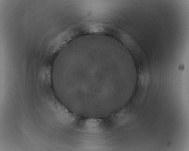 X0000111800373200907231216