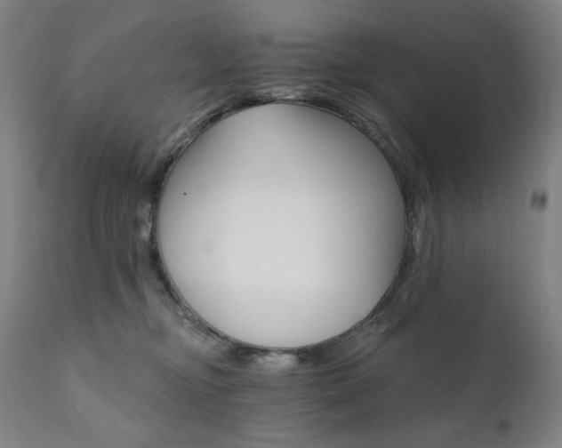 X0000111800374200907231216