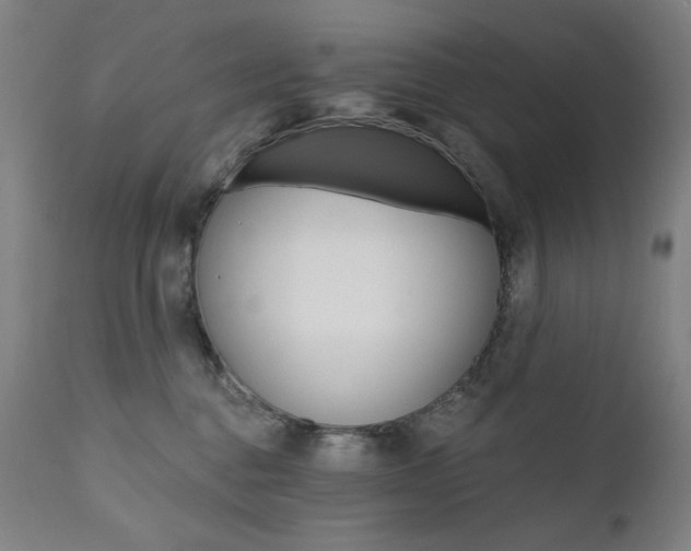 X0000111800376200907231216