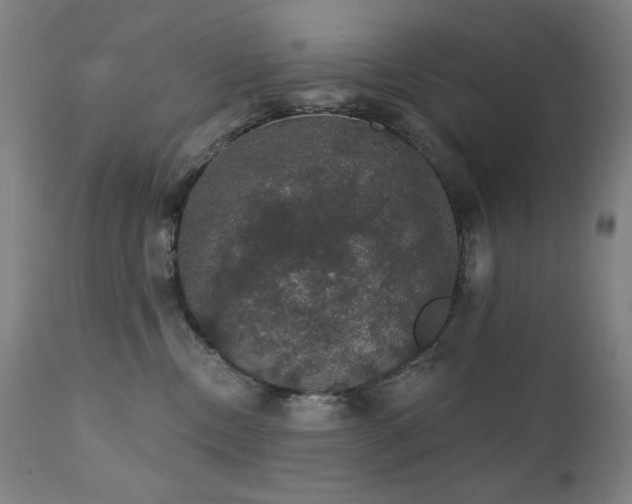 X0000111800378200907231216