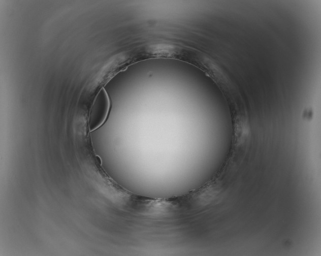 X0000111800379200907231216