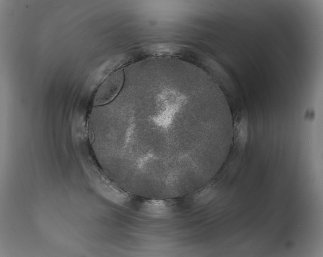 X0000111800381200907231216