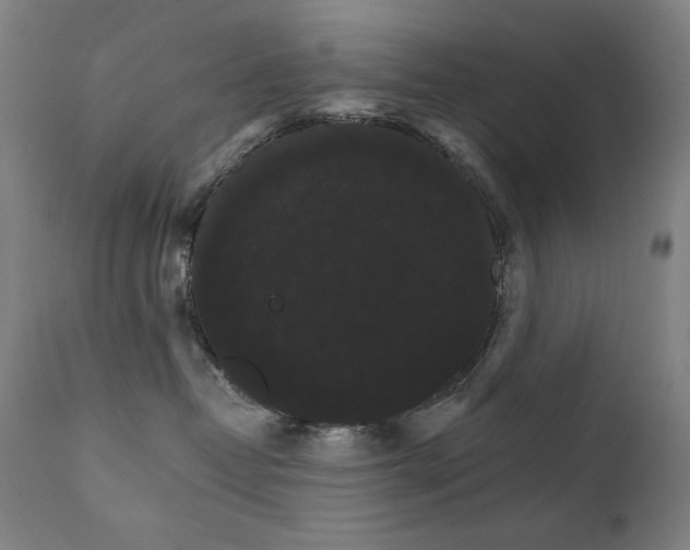 X0000111800382200907231216
