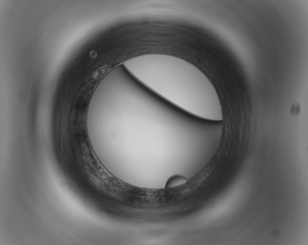 X0000111800383200907231216
