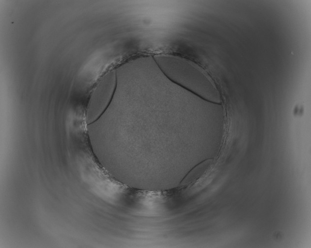 X0000111800384200907231216