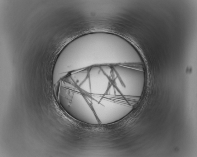 X0000111800385200907231215