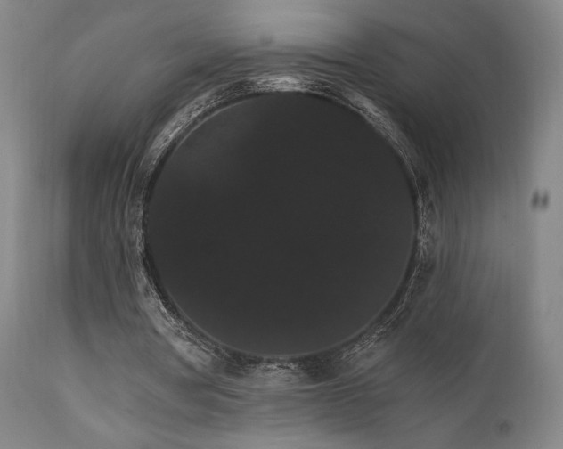 X0000111800386200907231215