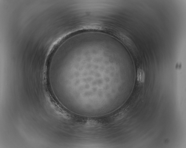 X0000111800388200907231215