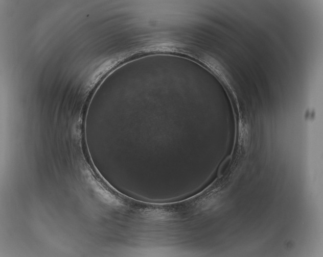 X0000111800389200907231215