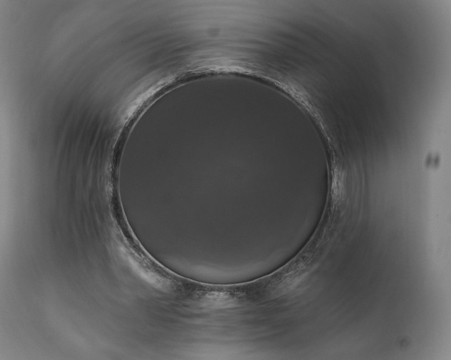 X0000111800390200907231215