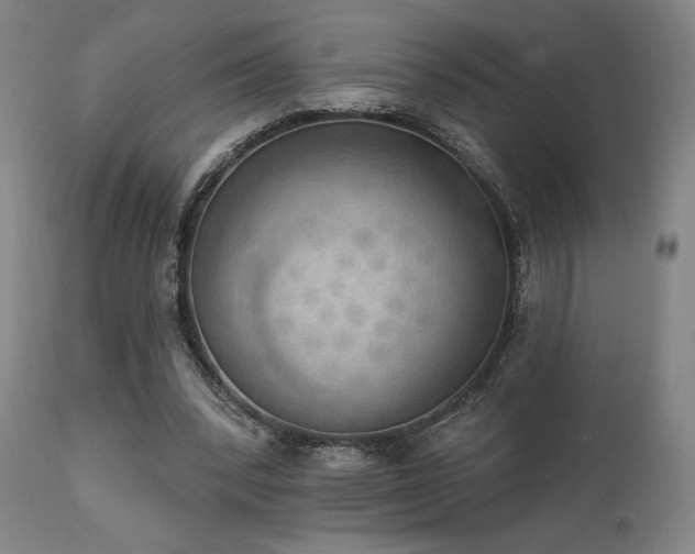 X0000111800392200907231215