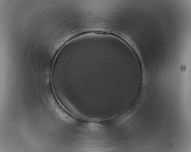 X0000111800393200907231215