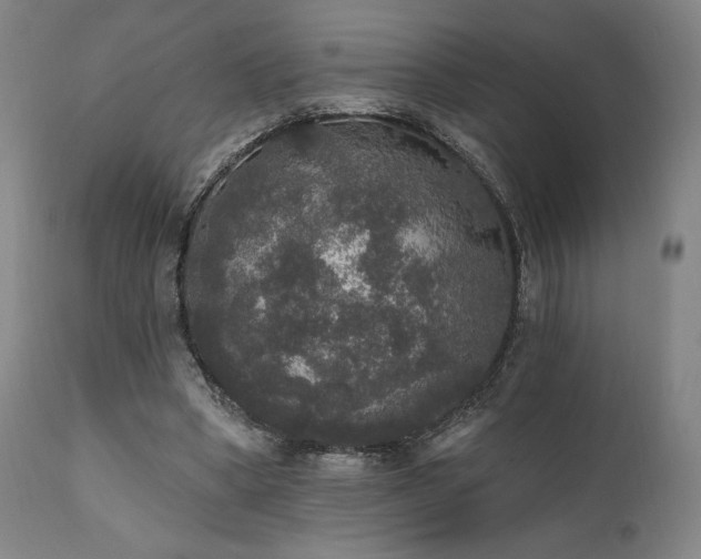 X0000111800394200907231215
