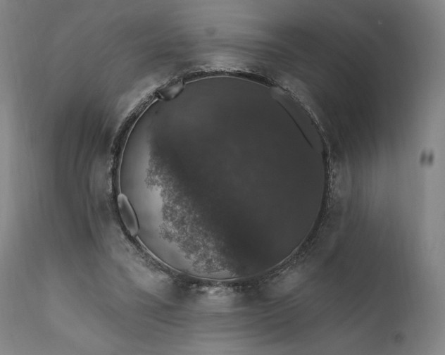 X0000111800395200907231215