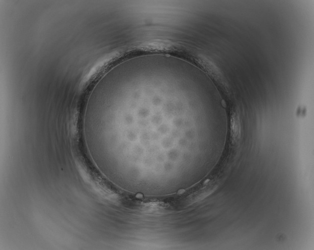X0000111800396200907231215