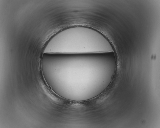 X0000111800397200907231215
