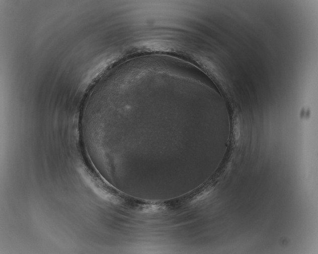 X0000111800398200907231215