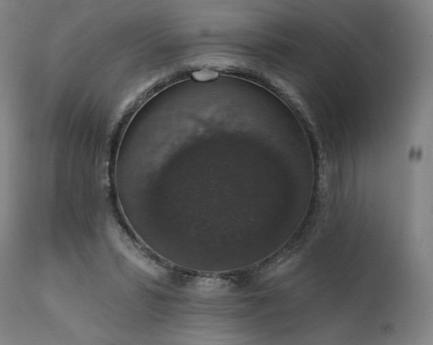 X0000111800399200907231215