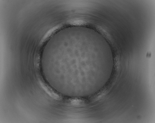 X0000111800400200907231215