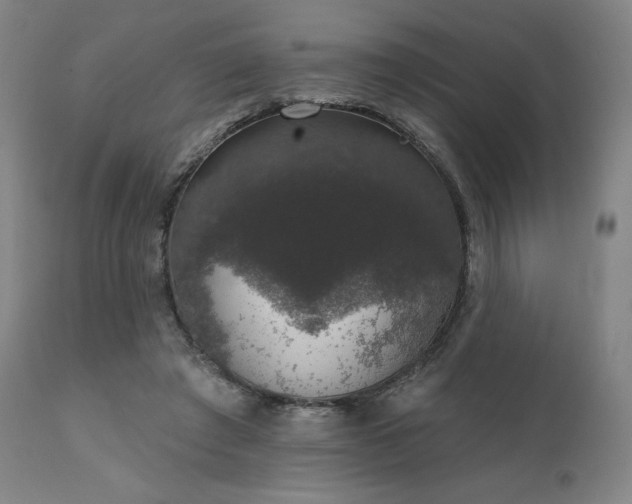 X0000111800401200907231215