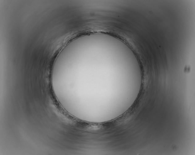 X0000111800402200907231215