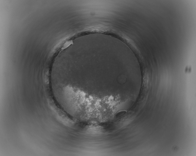 X0000111800403200907231215