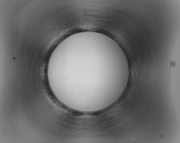 X0000111800404200907231215
