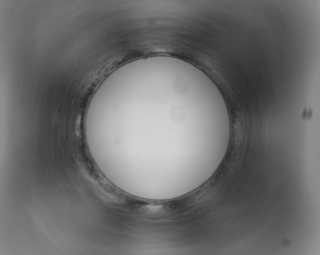 X0000111800406200907231215