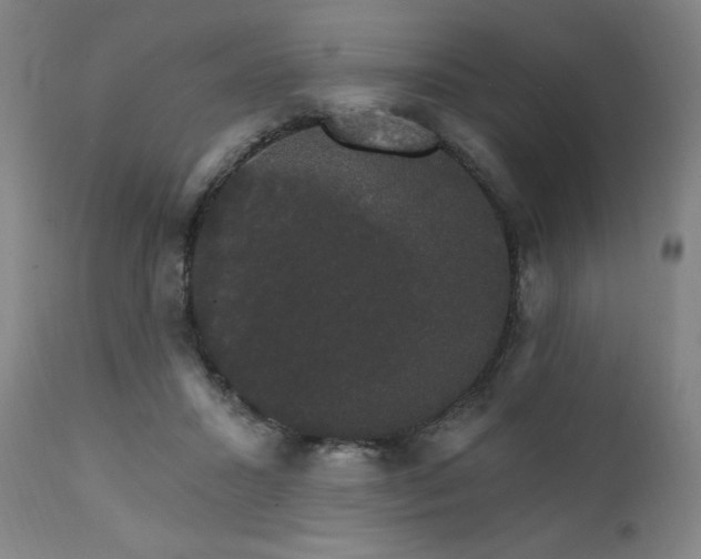 X0000111800407200907231215