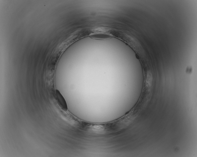 X0000111800409200907231215