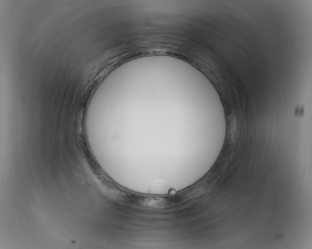 X0000111800410200907231215