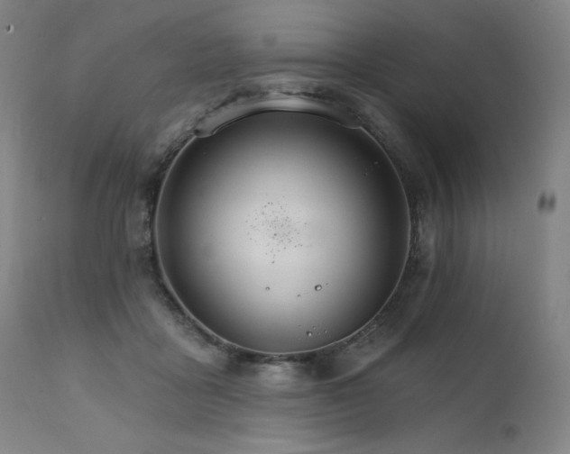X0000111800411200907231215