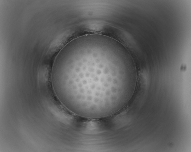 X0000111800412200907231215