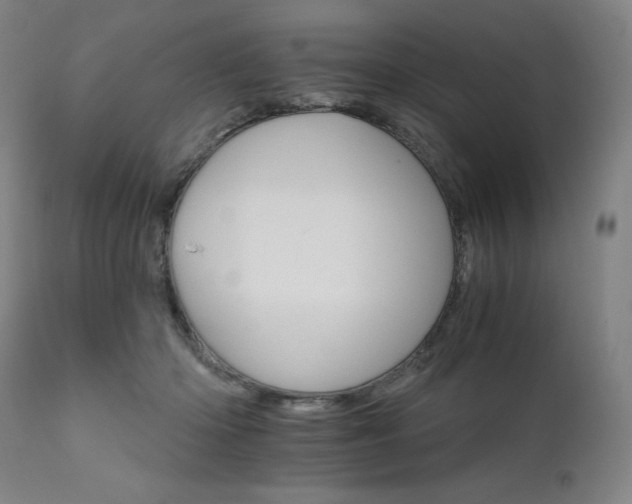 X0000111800414200907231215