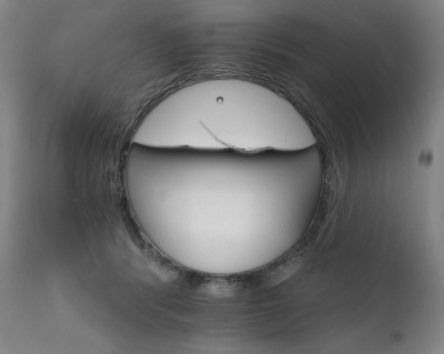 X0000111800416200907231214
