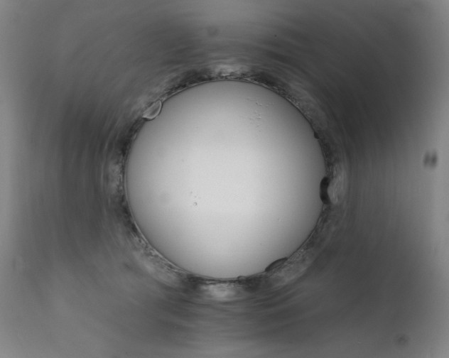 X0000111800417200907231214