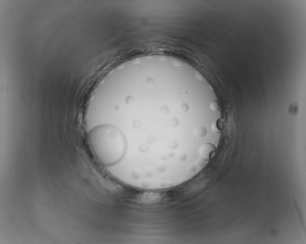 X0000111800418200907231214