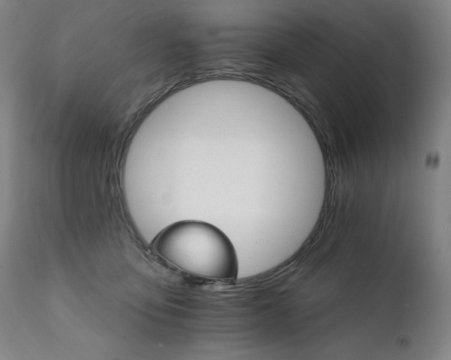 X0000111800419200907231214