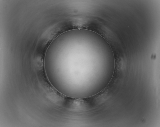 X0000111800420200907231214