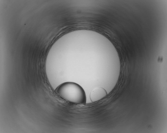 X0000111800421200907231214