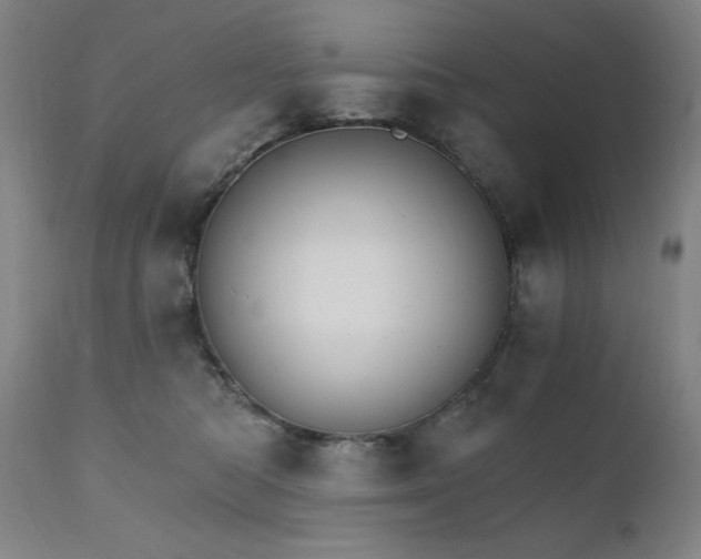 X0000111800422200907231214