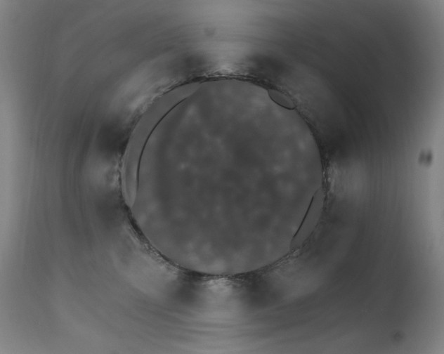 X0000111800423200907231214