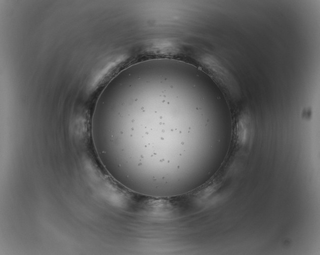 X0000111800424200907231214